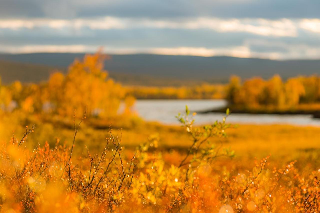 Arctic Gourmet Cabin Kiruna Exterior photo