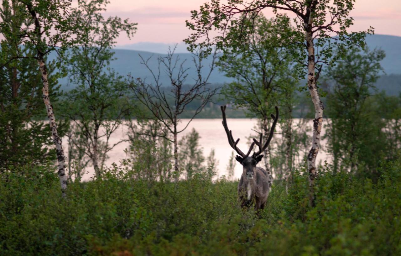 Arctic Gourmet Cabin Kiruna Exterior photo